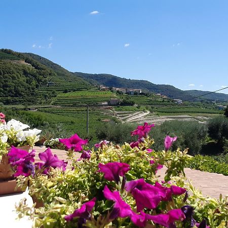 B&B Paradiso Negrar Zewnętrze zdjęcie
